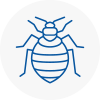 Bed Bug Extermination In Chobham