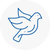 Bird Prevention Chobham