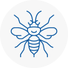 Chobham Hornet Nest Removals