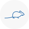 Mice Exterminators In Chobham