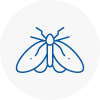 Moth Control Specialists In Chobham