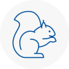 Chobham Rodent Removals